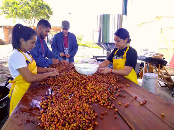 Colombia La Villa De Don Juan Lactic Natural