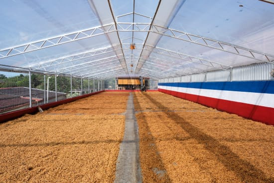 Costa Rica Las Lajas Perla Negra