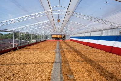 Costa Rica Las Lajas Perla Negra