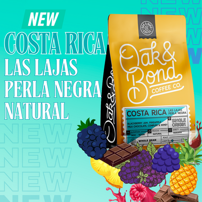 Costa Rica Las Lajas Perla Negra