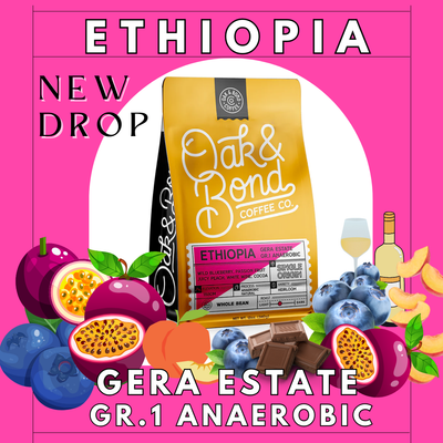 Vibrant Natural Ethiopia Coffee Bundle